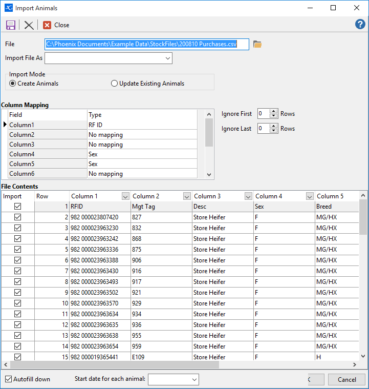 Setup Individual Animals - Import_v8